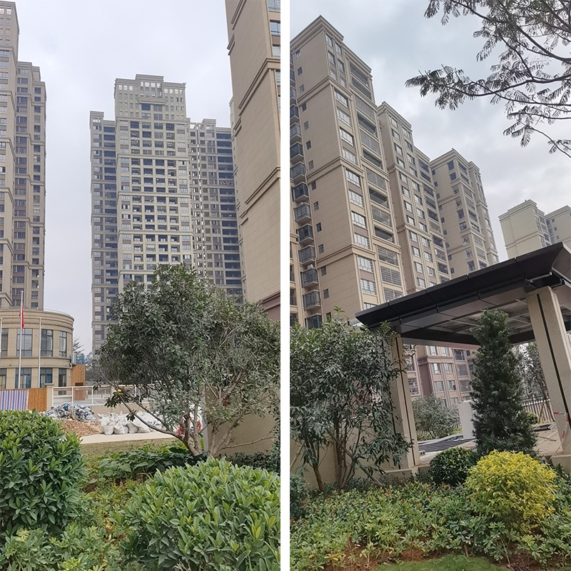 pp���ӡ�ģ����(������Ϸ)�ٷ���վ