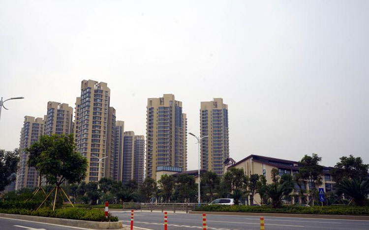 pp���ӡ�ģ����(������Ϸ)�ٷ���վ