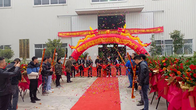 pp���ӡ�ģ����(������Ϸ)�ٷ���վ