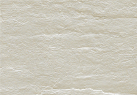 pp���ӡ�ģ����(������Ϸ)�ٷ���վ