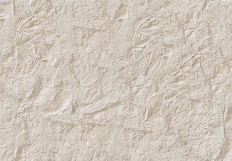 pp���ӡ�ģ����(������Ϸ)�ٷ���վ