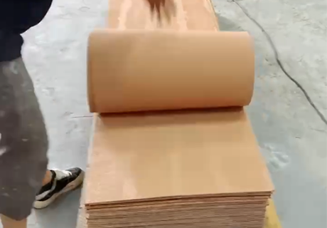 pp���ӡ�ģ����(������Ϸ)�ٷ���վ