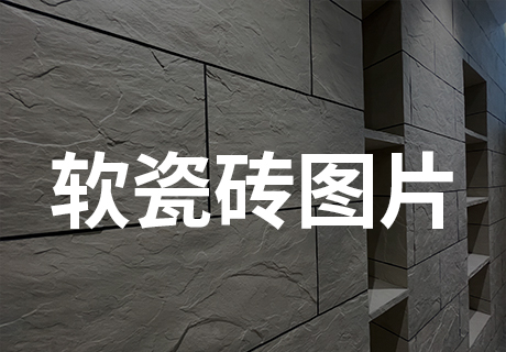 pp���ӡ�ģ����(������Ϸ)�ٷ���վ