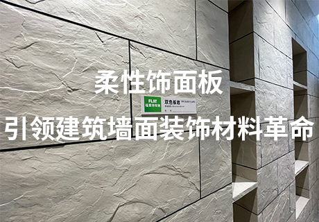 pp���ӡ�ģ����(������Ϸ)�ٷ���վ