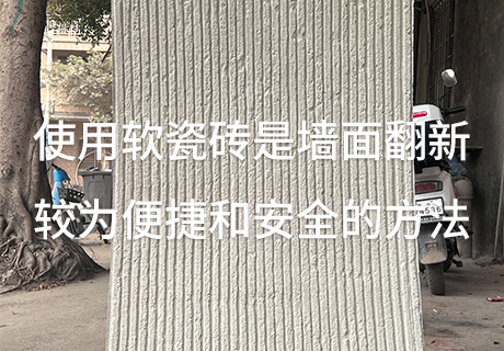 pp���ӡ�ģ����(������Ϸ)�ٷ���վ