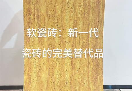 pp���ӡ�ģ����(������Ϸ)�ٷ���վ