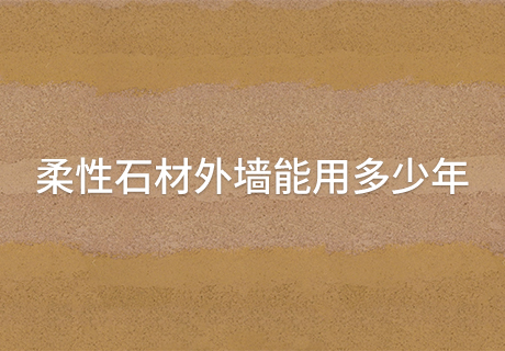 pp���ӡ�ģ����(������Ϸ)�ٷ���վ