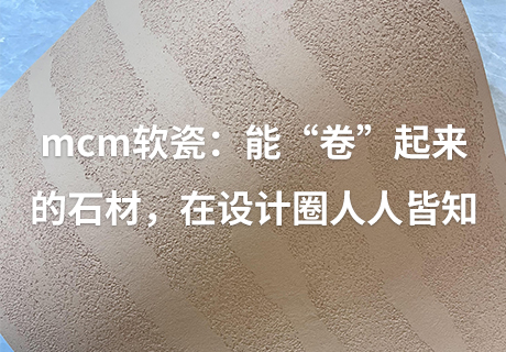 pp���ӡ�ģ����(������Ϸ)�ٷ���վ