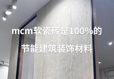 pp���ӡ�ģ����(������Ϸ)�ٷ���վ