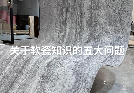 pp���ӡ�ģ����(������Ϸ)�ٷ���վ