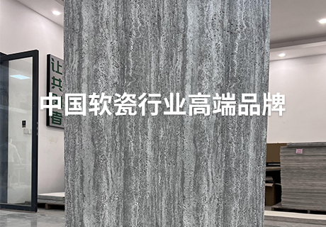 pp���ӡ�ģ����(������Ϸ)�ٷ���վ